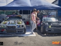 Gurev_5209